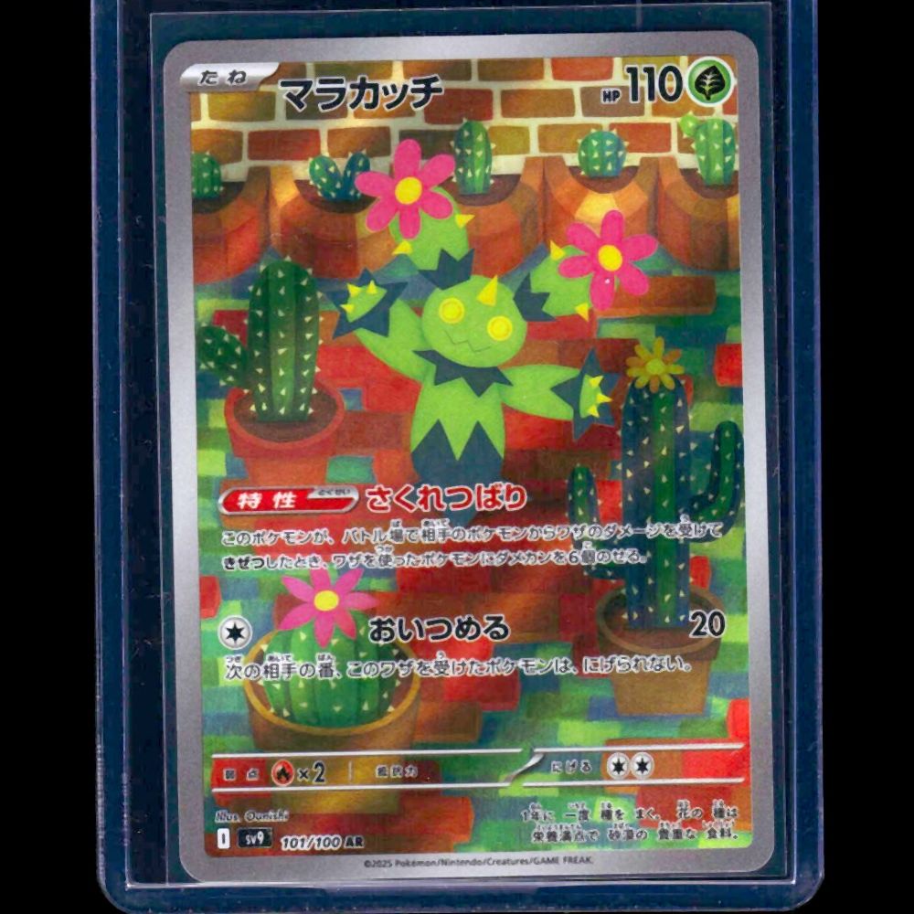 Maractus Battle Partners JPN AR #101 - front