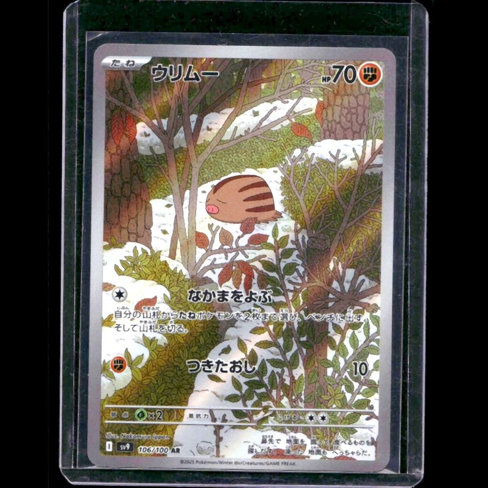 Swinub JAPANESE JPN AR #106 - front